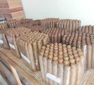 Stadtrundfahrt Bavaro