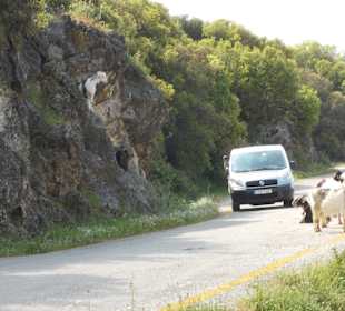 Überraschende Zufahrt