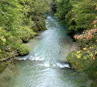 Erlaufschlucht