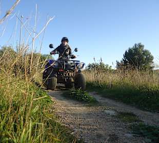 Quad