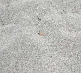 Strand in Zingst 