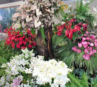 Impressionen vom Blumenfestival in Funchal