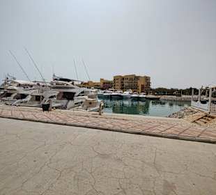 Yachthafen New Marina El Gouna