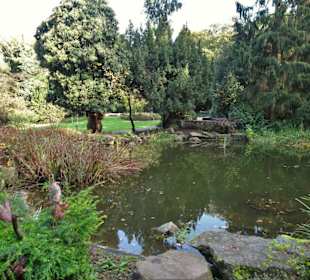 Impressionen vom Rundgang durch den Bürgerpark