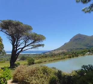 Cape Point Vineyards in Noordhoek
