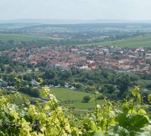 Escherndorf: Eindrücke einer Weinbergeswanderung