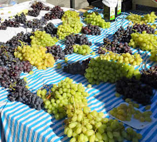 Rundgang über die Salzburger Schranne