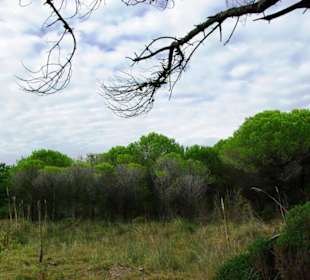 Ende September 2010 Inspirationen