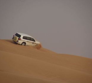 Ausflug in die Wüste