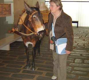 Er will einfach nicht 