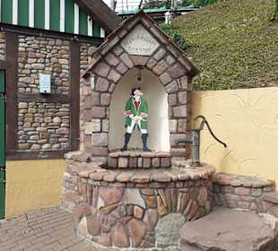 Sommer-Rodelbahn Bodenwerder in Bodenwerder