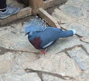 Zoo Leipzig