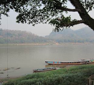 Der Mekong