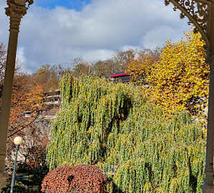 Parkkolonnade / Dvorak Park