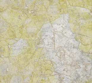 "Dywanik" na dnie krateru