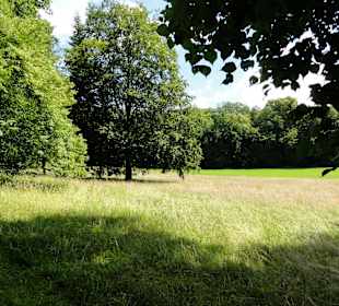 Impressionen aus dem Park Wilhelmsthal