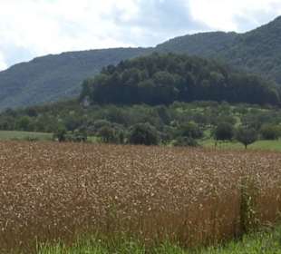 Hochgehnießen - Premiumspazierwanderweg