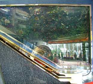 Hier gibt es ein riesiges Aquarium