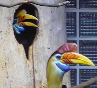 Vogelpark Walsrode