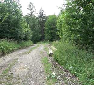 Schutzgebiet Spitzberg, Pfaffenberg