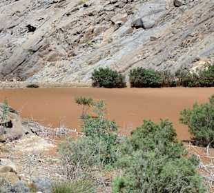 Am versandeten Stausee des Vega de Rio Palmas
