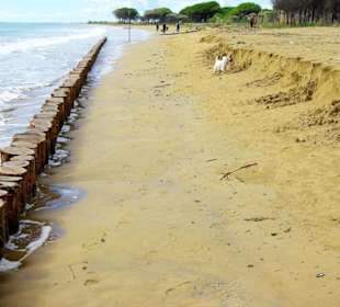 Ende September 2010 Inspirationen