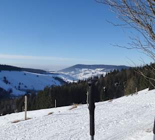 Dorf Herrenschwand, hat nur das Restaurant Waldfrieden