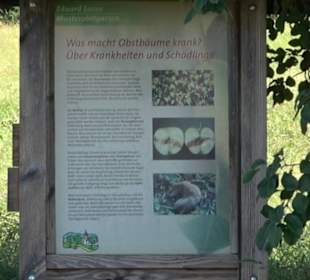 Eduard Lucas Musterobstgarten Mähringen