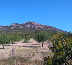 Wanderweg Paguera-Capdella