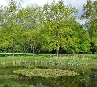 Rundgang durch den Achterdiekpark