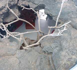 Blick ins Wohnzimmer