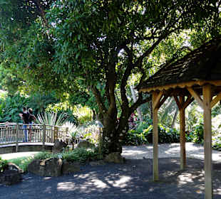 Impressionen aus dem Jardin Botanique de Deshaies