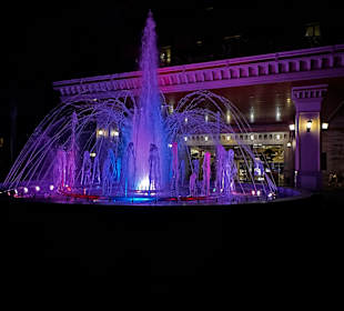 Klar und bunt durch die Welt mit Roma Optik