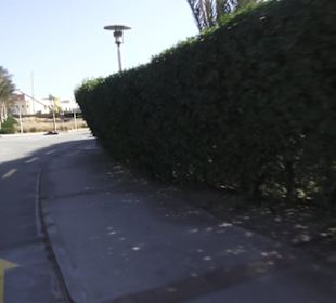 Stadtbesichtigung El Gouna