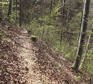 Wanderweg Hochgehkämpft