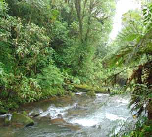 La Paz Waterfall Gardens