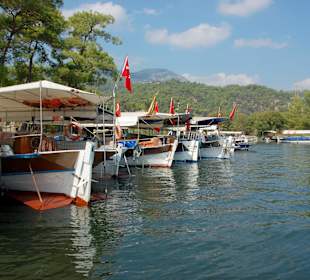Dalyan
