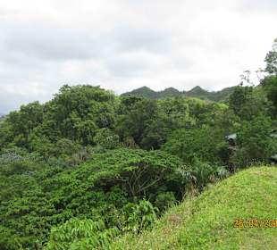 Und dann diese Aussicht