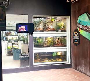 Singapur Zoo