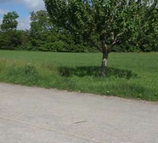 Premiumwanderweg "hochgelegen"