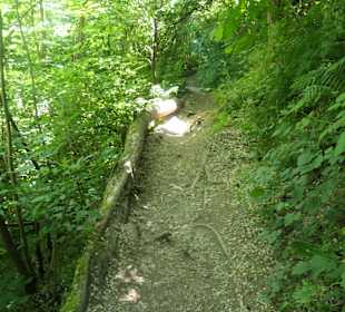 Bei einer Wanderung rund um den Levicosee