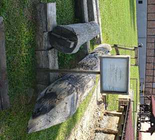 Muzeum Warzelnictwa i Lecznictwa Uzdrowiskowego