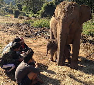 Die stolzen Mahouts beim Neugeborenen