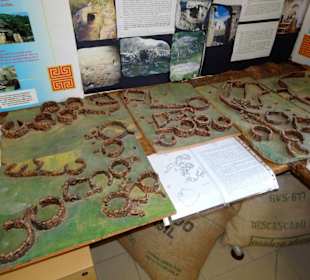 Rundgang durch das Museo della Foca Monaca