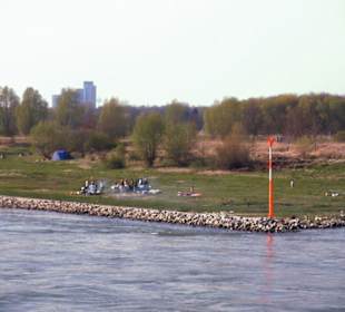 Rhein-Schifffahrt mit der Köln - Düsseldorfer