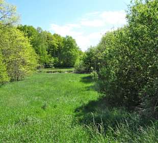 Impressionen vom Rundgang um den Klostersee
