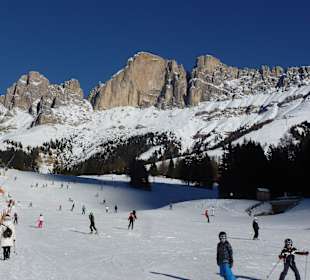 Ideal für Kinder und Anfänger und Profis 