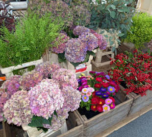 Rundgang über den Grünmarkt Salzburg