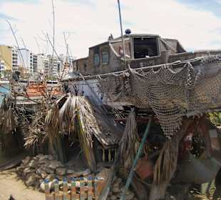 Duck's Village