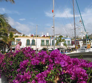 Blumenschmuck in der Marina